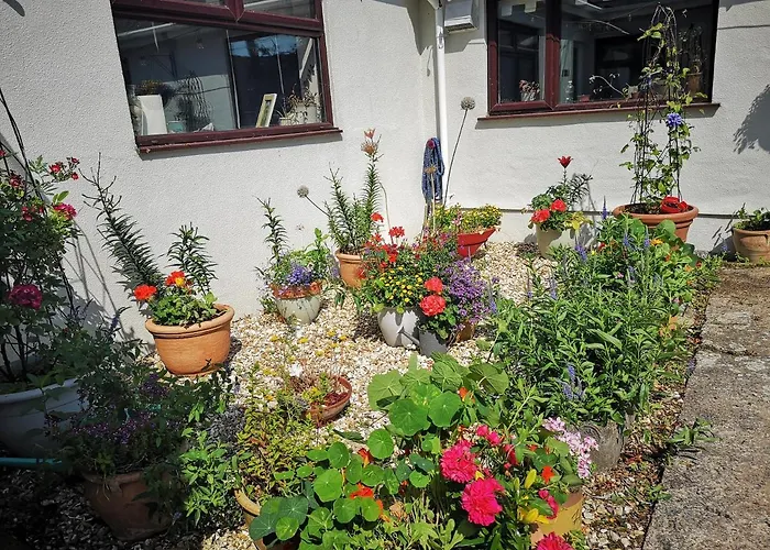 Y Cuddfan Gower Bed & Breakfast Swansea