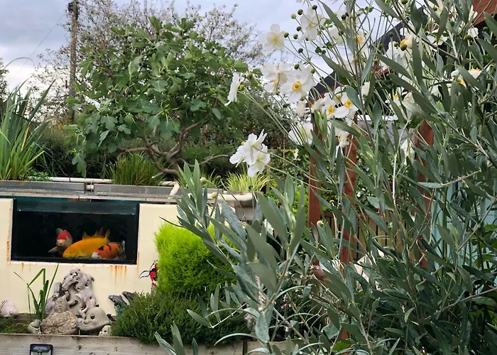 Owly 'Ouse Bed & Breakfast Barnstaple