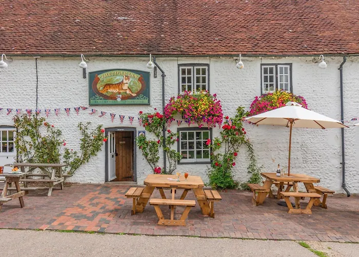 Tiger Inn _ Minnie Eastbourne