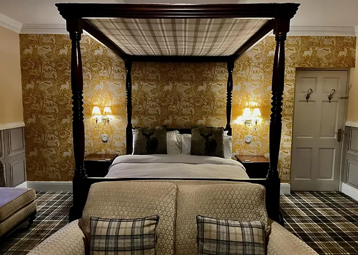 Highland Bear Lodge & Woodland Bear Huts Drumnadrochit