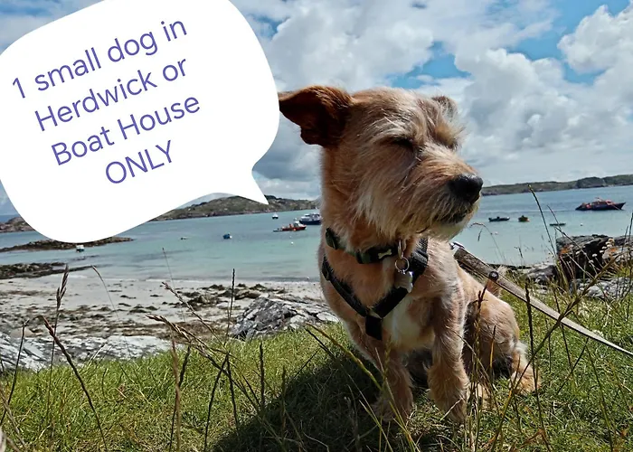 Puddle Duck Lodge - Adults Only