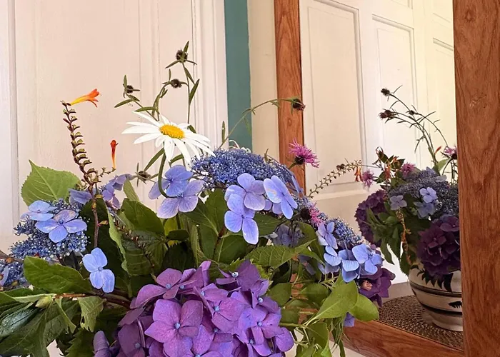 B&B Higher Quantock