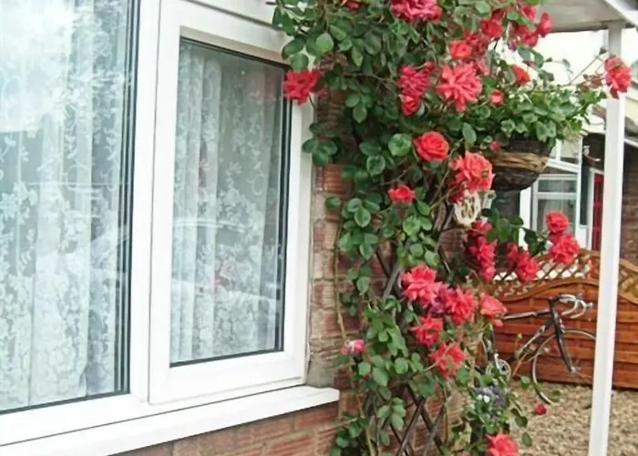 Rosa'S Bed And Breakfast Cambridge 