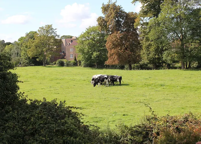 The Coach House Bed & Breakfast Winterbourne