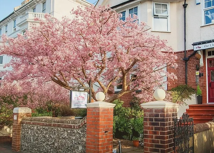 The Cherry Tree Guest House