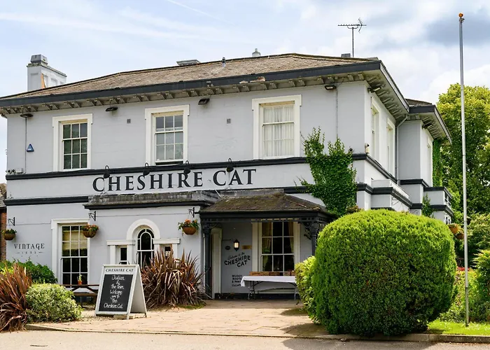 The Cheshire Cat By Innkeeper'S Collection