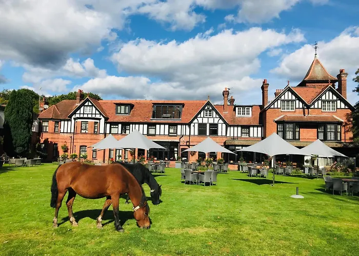 Forest Park Country Hotel & Inn, Brockenhurst, New Forest, Hampshire - The Coaching Inn Group