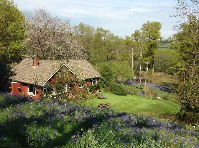 B&B Higher Quantock