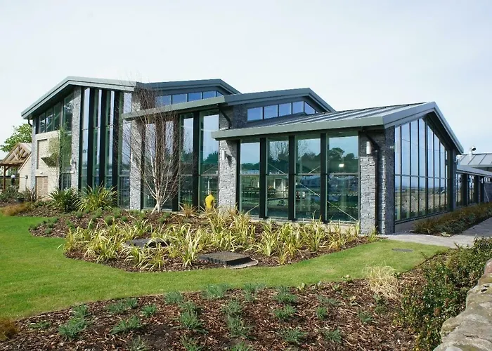 Moselle At Seton Sands Edinburgh