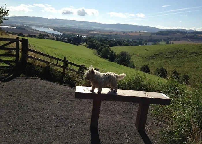 Northlees Farm